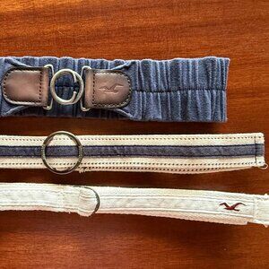 Hollister Belt Bundle